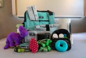 tips for travelling with pets to a resort