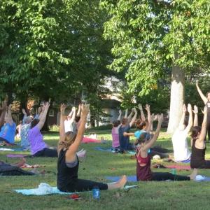 yoga yoga